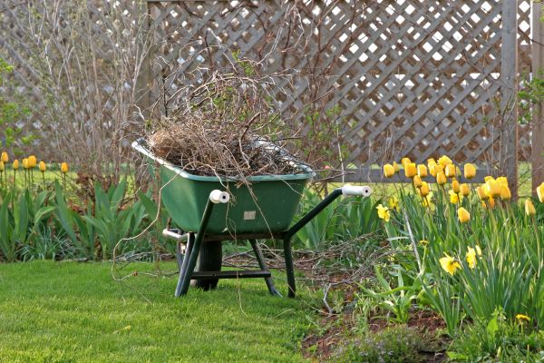 Flower Bed Cleanup Service in San Rafael