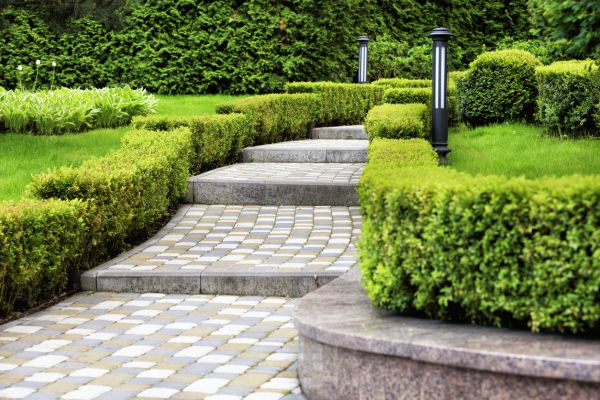 Backyard Remodeling in San Rafael
