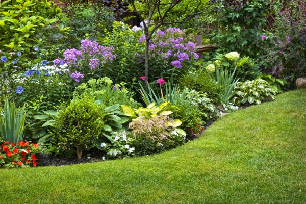 Flower Bed Service in San Rafael