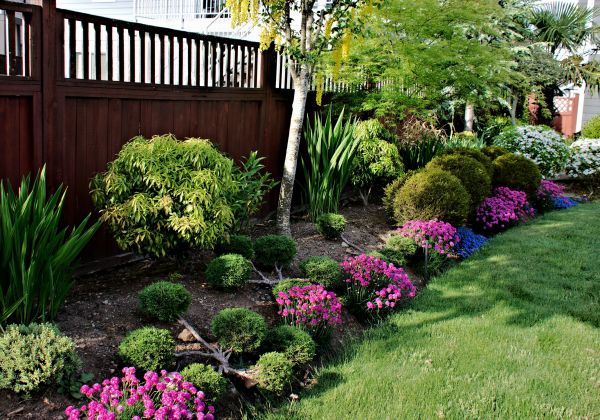 Garden Care Service in San Rafael