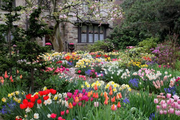 Garden Maintenance Service in San Rafael