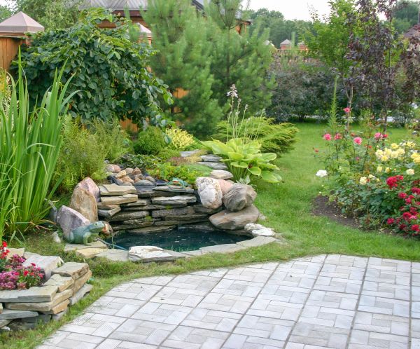 Landscaping Design Service in San Rafael