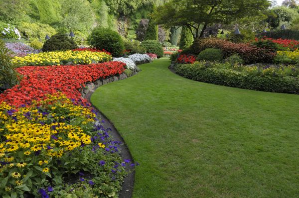 Landscaping Maintenance in San Rafael