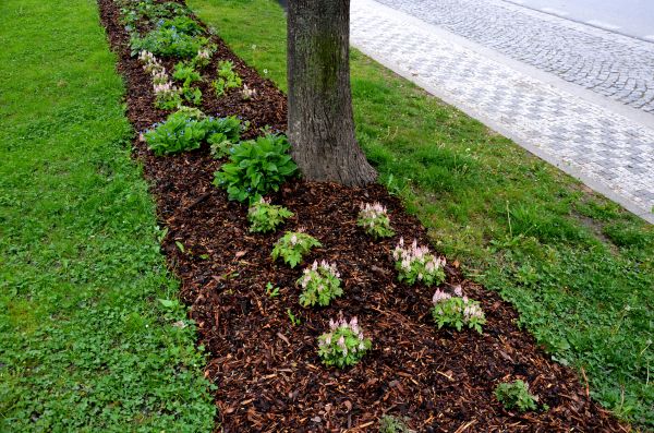Mulch Replacement Service in San Rafael