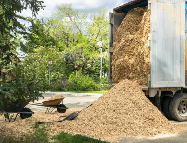 Wood Chips Delivery in San Rafael