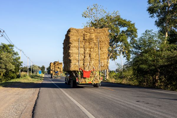 Pine Straw Delivery in San Rafael