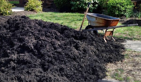 Black Mulch Delivery in San Rafael