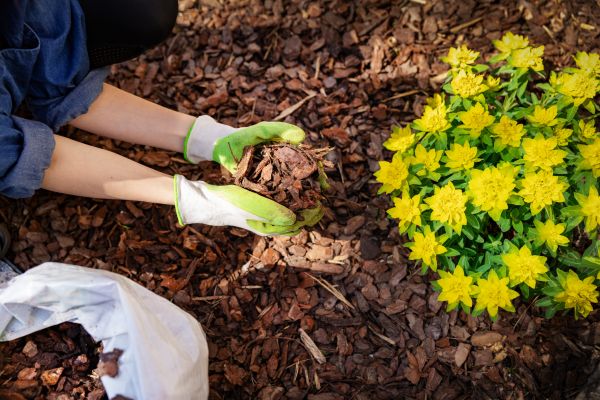 Garden Mulching in San Rafael