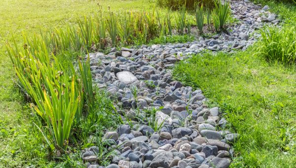 River Rock Garden Installation in San Rafael
