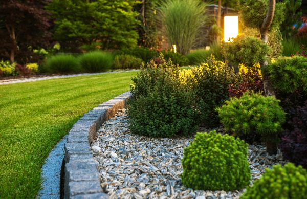 Home Landscaping in San Rafael