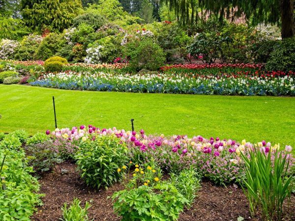 Residential Landscape Design in San Rafael