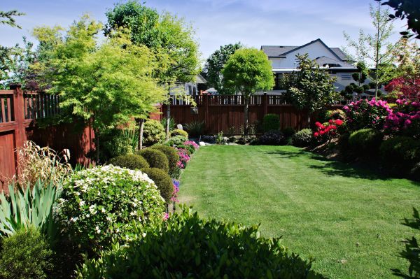 Lawn And Garden Installation in San Rafael