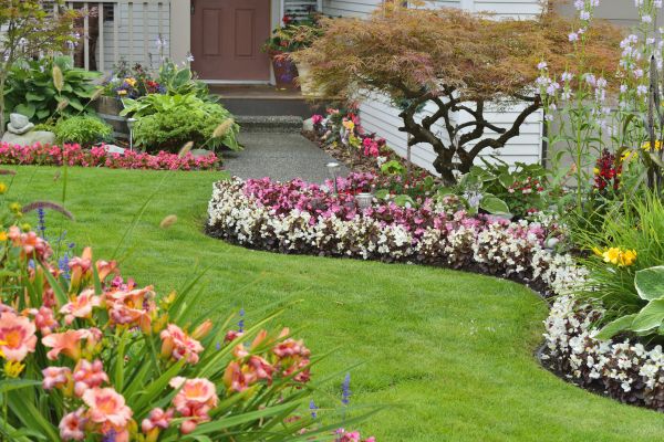Perennial Landscaping in San Rafael