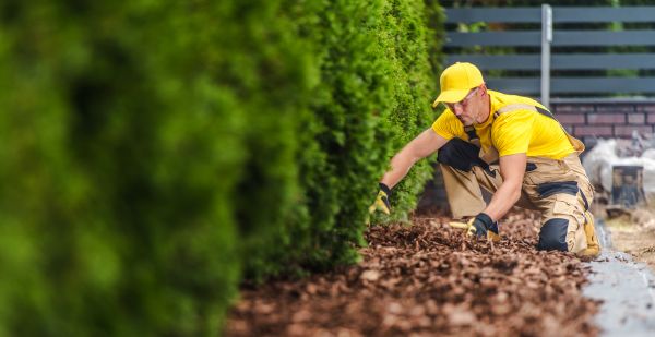 Cypress Mulch Installation in San Rafael