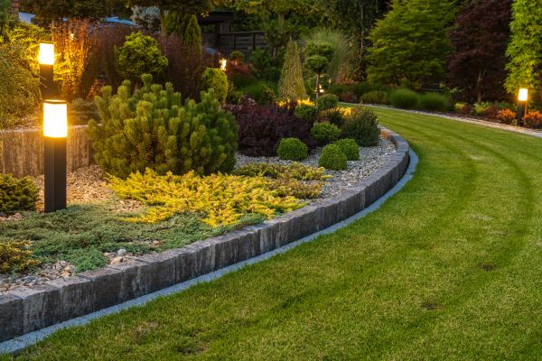 Garden Repair Service in San Rafael