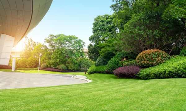 Business Landscape Design in San Rafael