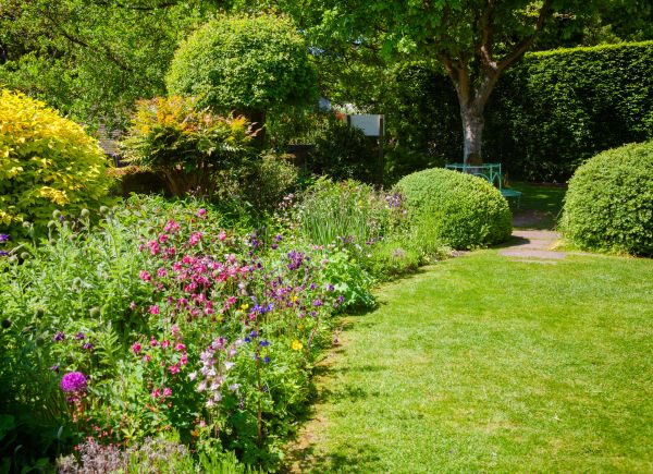 Yard Landscaping Service in San Rafael