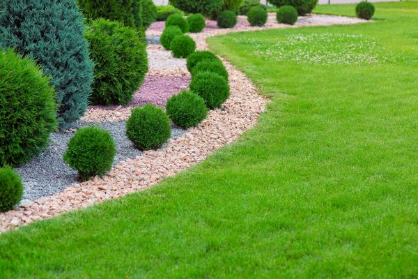 Edging Stones Installation in San Rafael