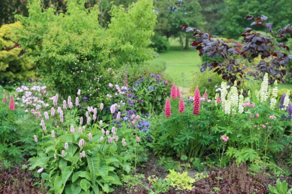Flower Bed Planting in San Rafael