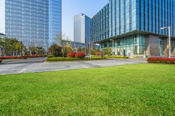 Industrial Landscaping Service in San Rafael