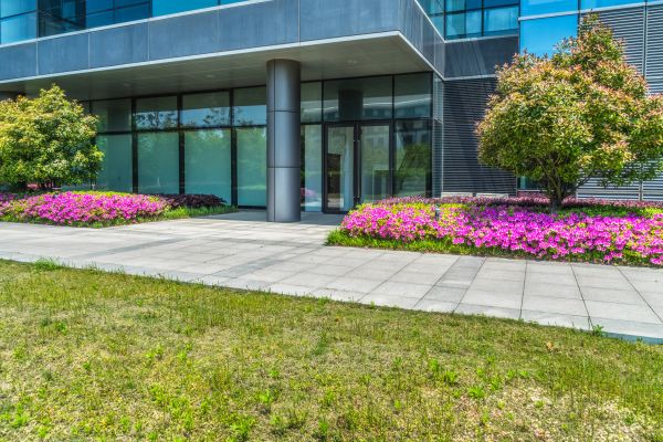 Commercial Gardening in San Rafael
