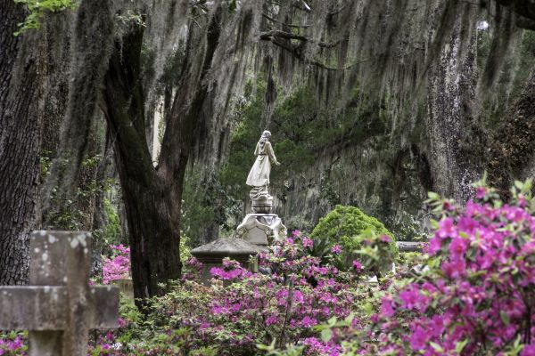 Cemetery Landscaping in San Rafael
