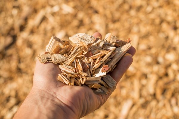 Wood Chips Spreading in San Rafael