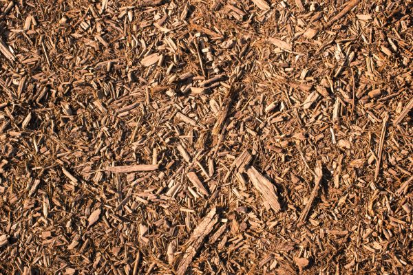 Wood Chips Removal in San Rafael