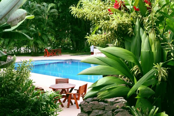 Pool Area Landscaping in San Rafael
