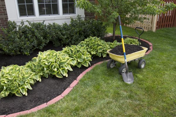 Landscape Mulching in San Rafael