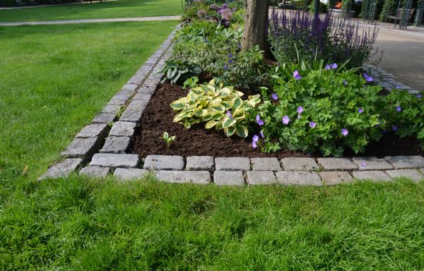 Flower Bed Mulching in San Rafael