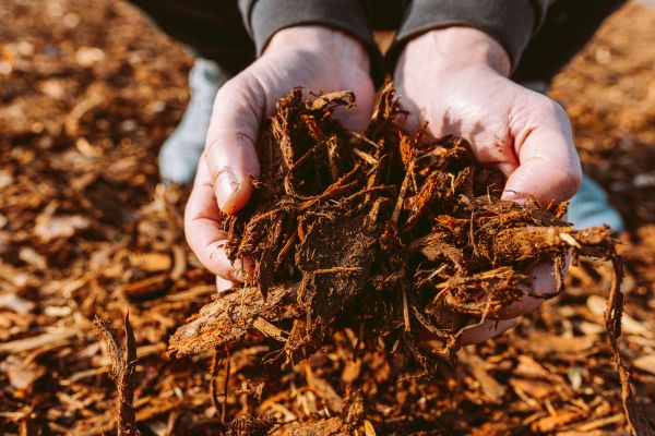 Bark Chips Delivery in San Rafael