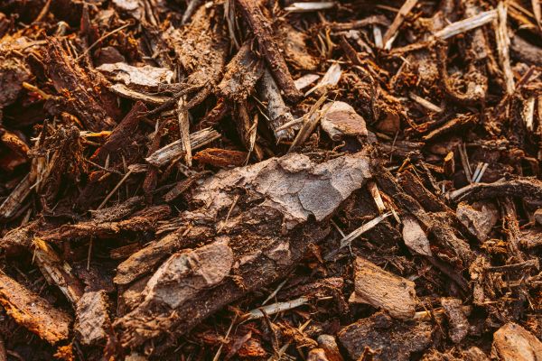 Bark Mulch Delivery in San Rafael