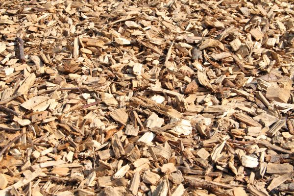 Wood Mulch Delivery in San Rafael