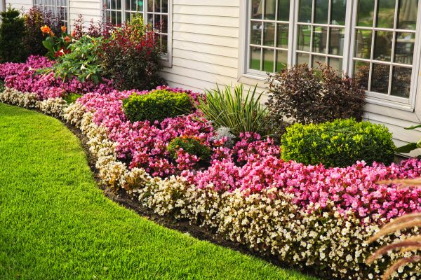 House Landscaping in San Rafael