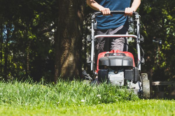 Garden Trimming Service in San Rafael
