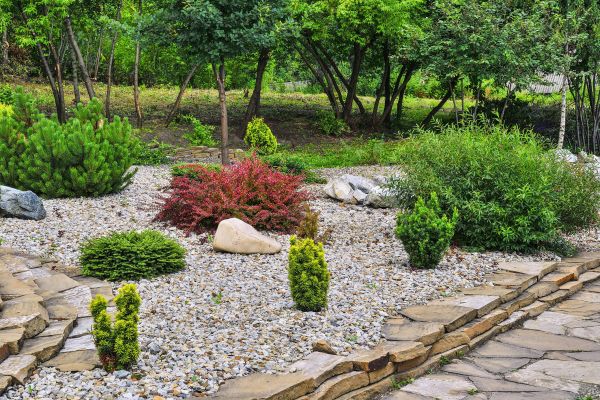 Hardscape Landscaping in San Rafael