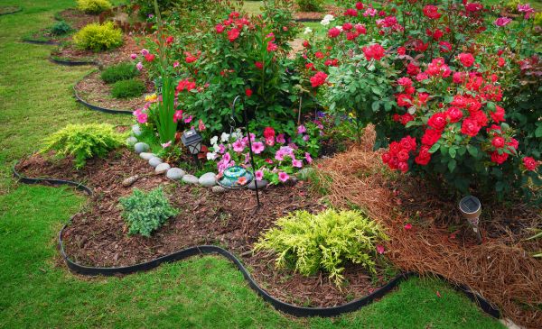 Floral Landscaping in San Rafael