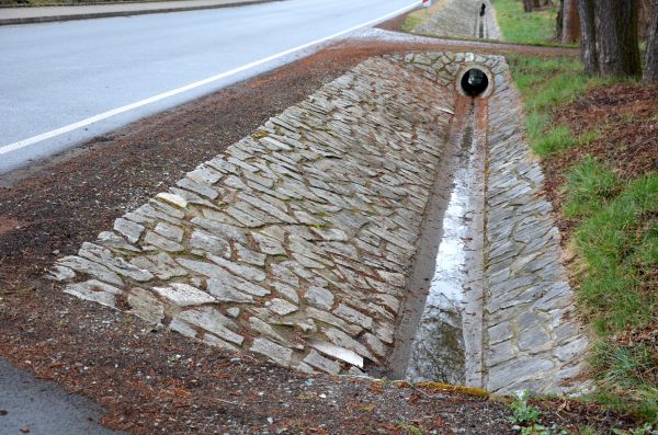 Ditch Landscaping in San Rafael