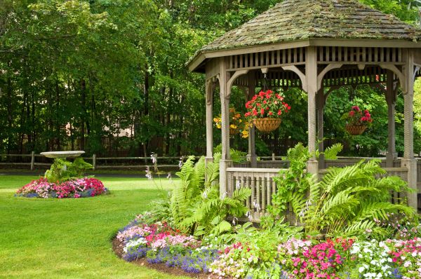 Backyard Landscaping Service in San Rafael