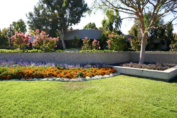 Commercial Landscape Service in San Rafael