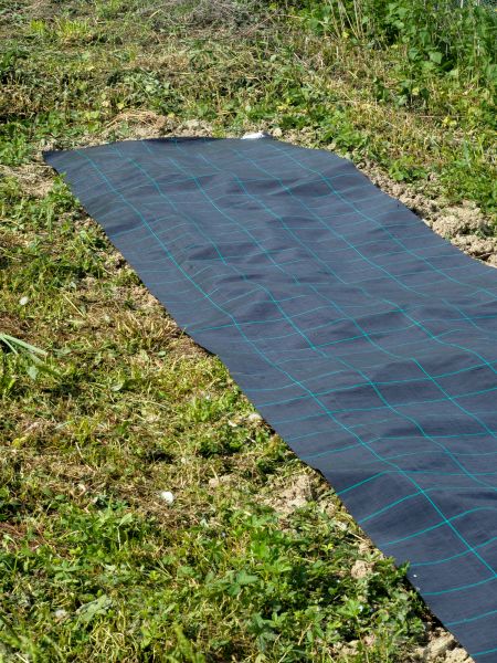 Weed Suppressant Installation in San Rafael