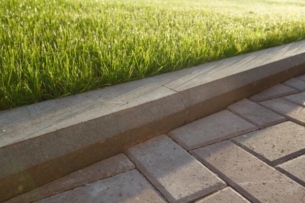 Lawn Edging Replacement in San Rafael