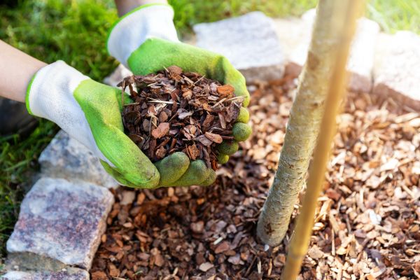 Tree Bark Delivery in San Rafael