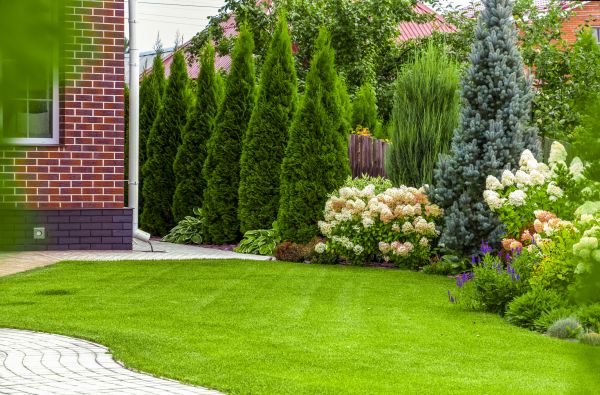 Spring Landscaping in San Rafael