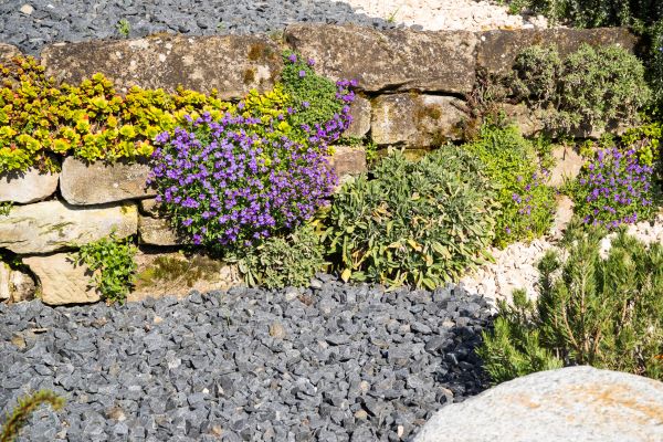 Landscaping Rocks Installation in San Rafael