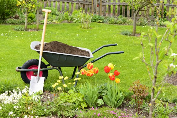 Spring Yard Renovation in San Rafael