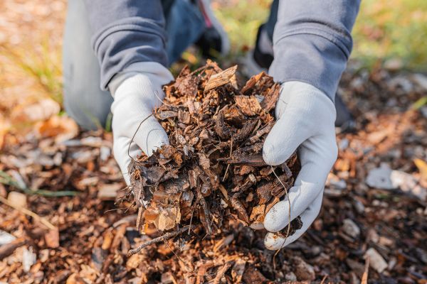 Shredded Mulch Installation in San Rafael