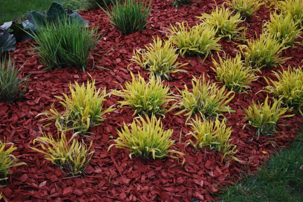 Red Mulch Installation in San Rafael