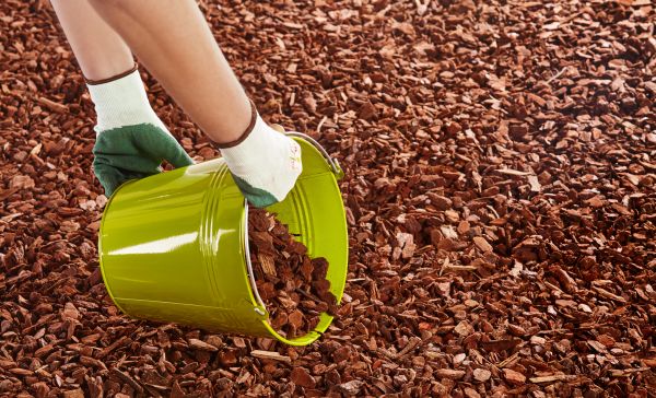 Wood Chip Landscaping in San Rafael